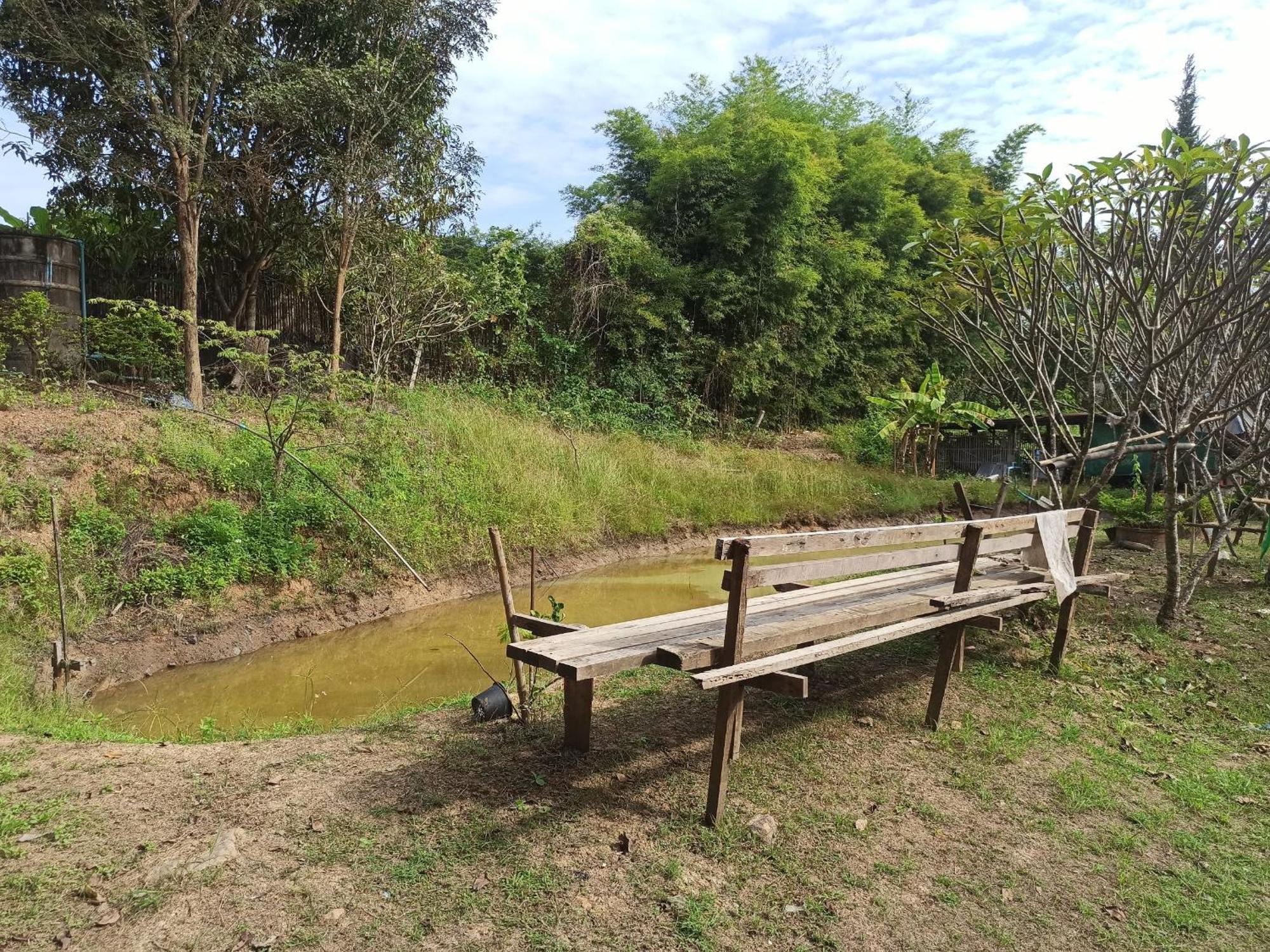 Pai Forest Resort Ngoại thất bức ảnh